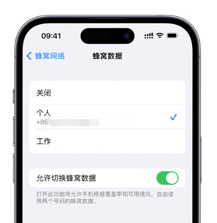 蚌埠苹果维修服务分享如何在iPhone上使用双卡 